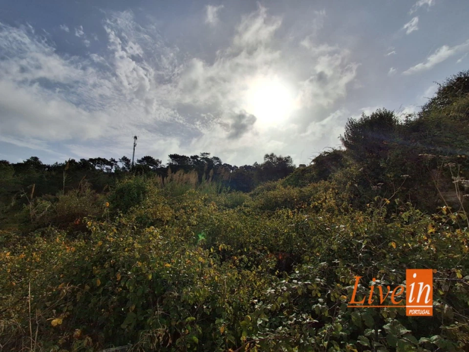 Moradia T1 para Venda em Freiria Foto 1