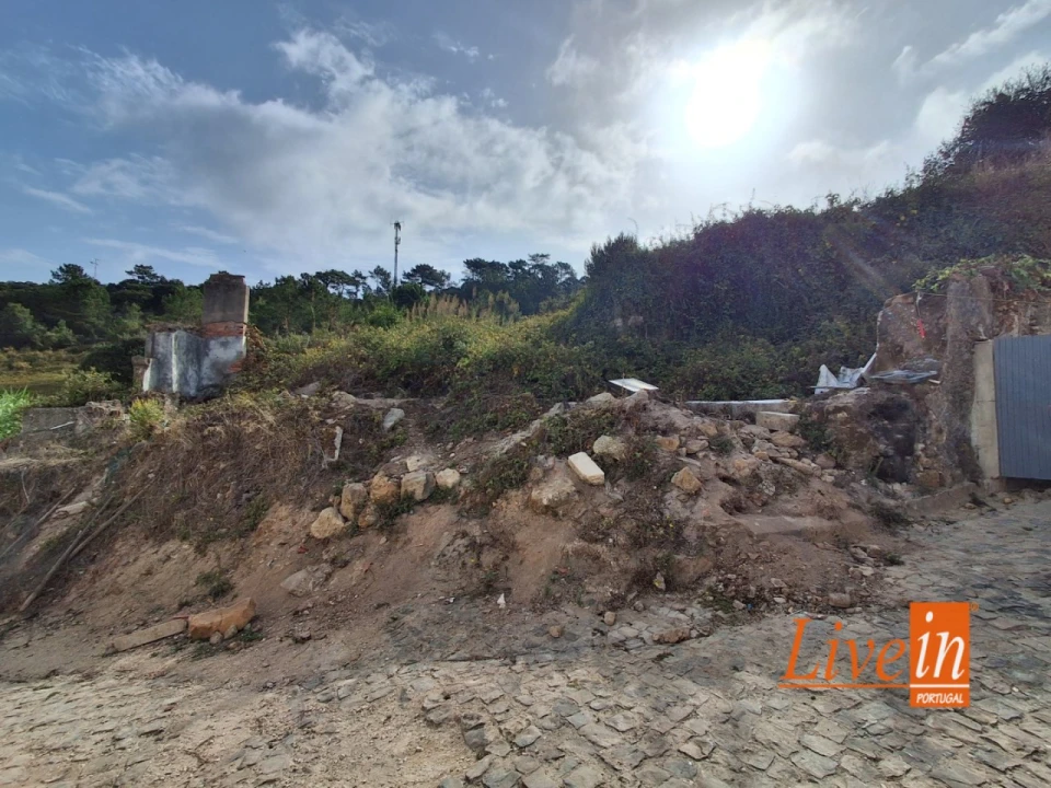 Moradia T1 para Venda em Freiria Foto 4