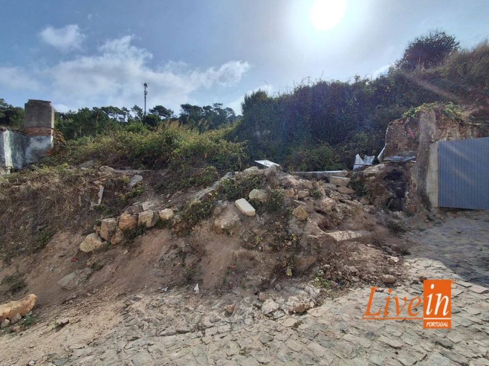 Moradia T1 para Venda em Freiria Foto 9