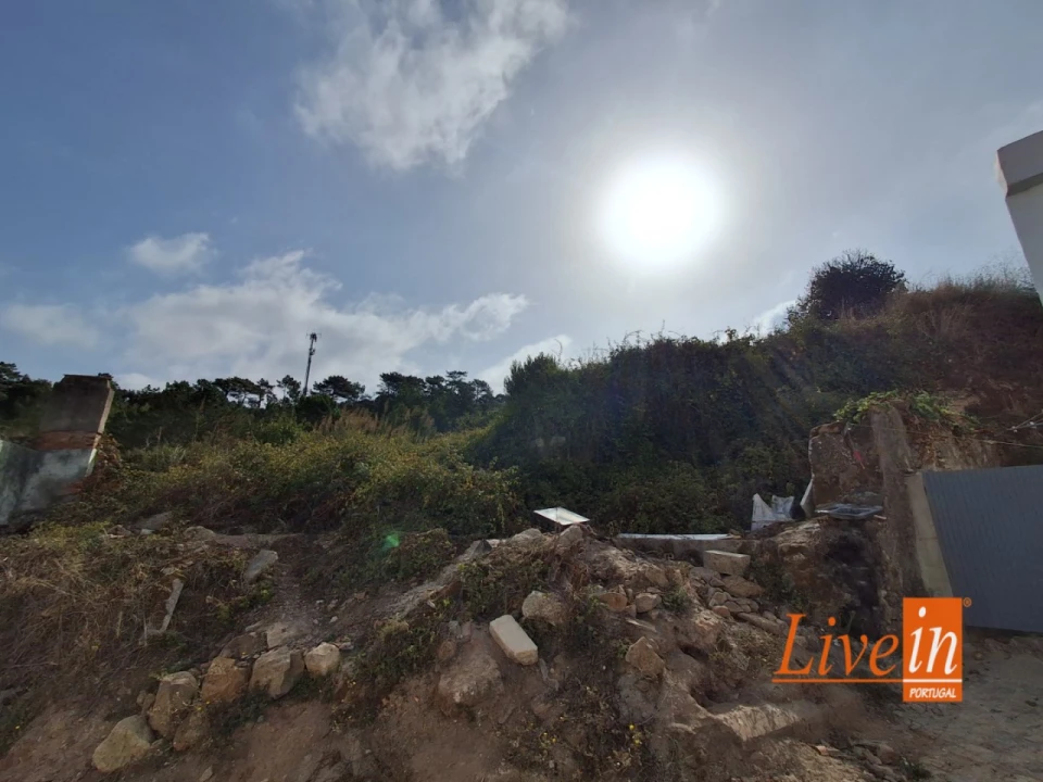 Moradia T1 para Venda em Freiria Foto 10