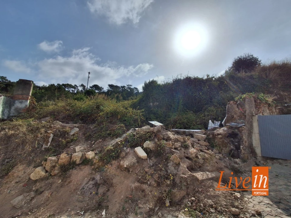 Moradia T1 para Venda em Freiria Foto 12