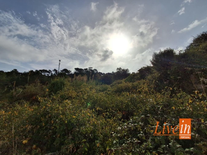 Moradia T1 para Venda em Freiria