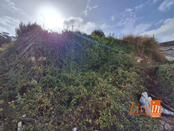 Moradia T1 para Venda em Freiria Foto 3