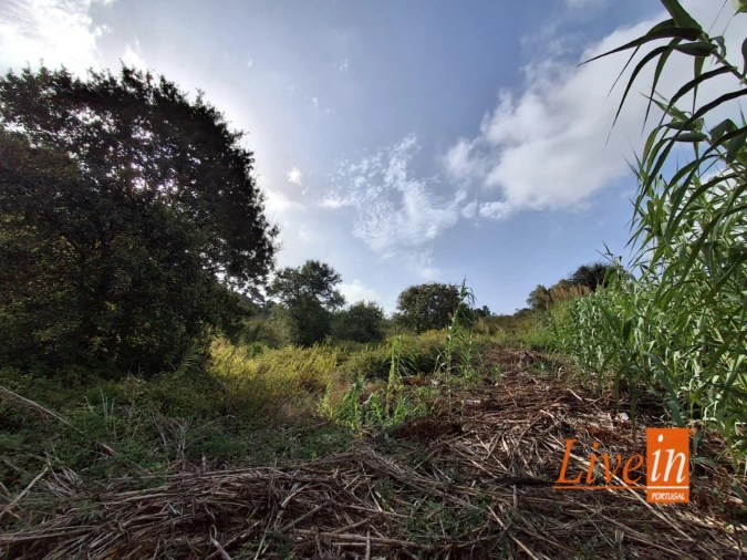 Moradia T1 para Venda em Freiria Foto 7