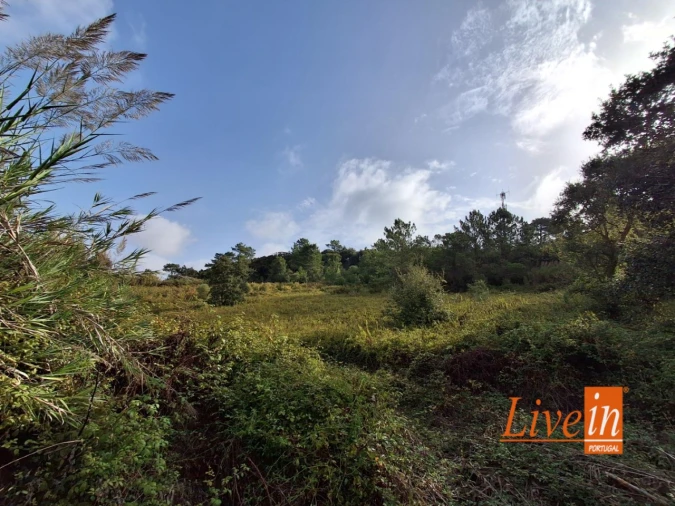 Moradia T1 para Venda em Freiria Foto 8