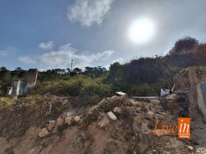 Moradia T1 para Venda em Freiria Foto 11