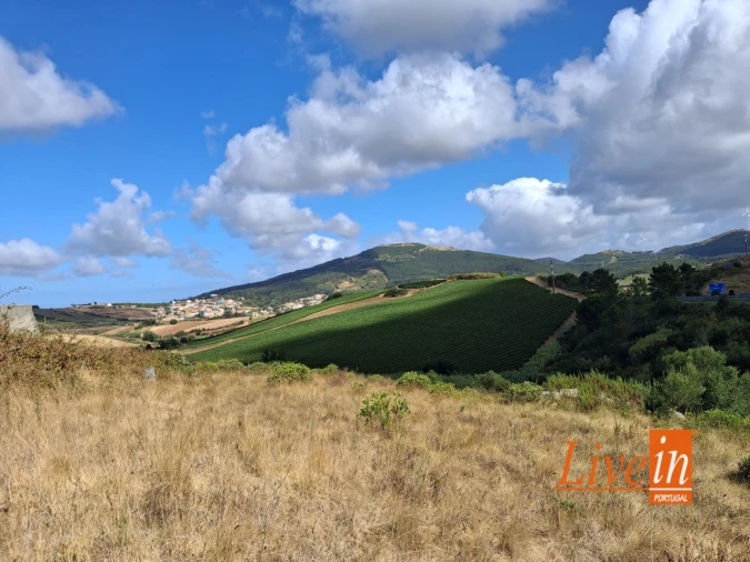 Moradia T1 para Venda em Enxara do Bispo, Gradil e Vila Franca do Rosário Foto 1