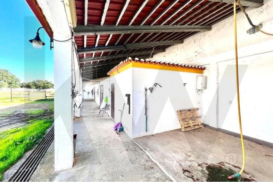 Moradia T7 para Venda em Assunção Foto 46