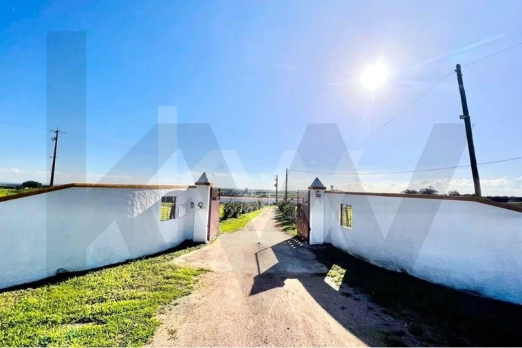 Moradia T7 para Venda em Assunção Foto 34