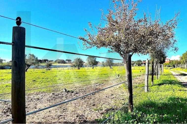 Moradia T7 para Venda em Assunção Foto 36