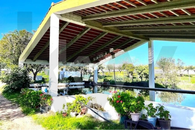 Moradia T7 para Venda em Assunção Foto 37