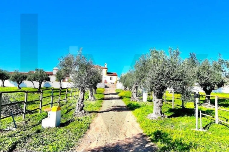 Moradia T7 para Venda em Assunção Foto 39