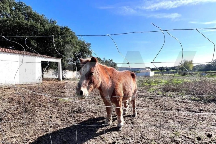 Moradia T7 para Venda em Assunção Foto 55