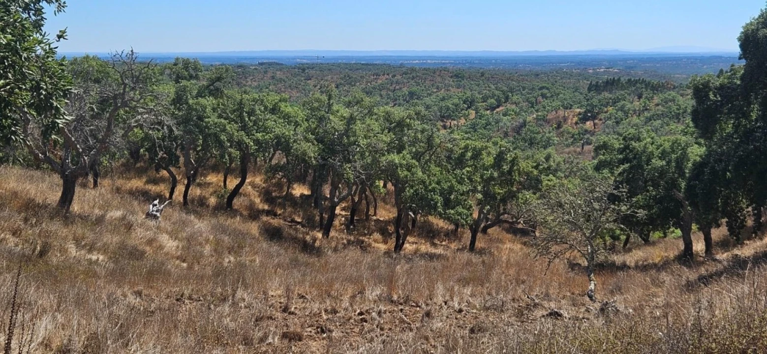 Terreno para Venda em São Francisco da Serra Foto 4