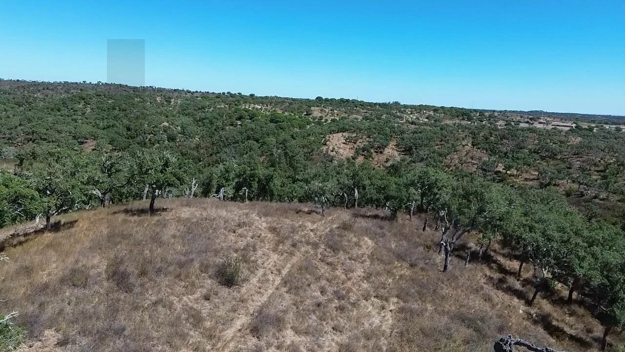 Terreno para Venda em São Francisco da Serra Foto 15