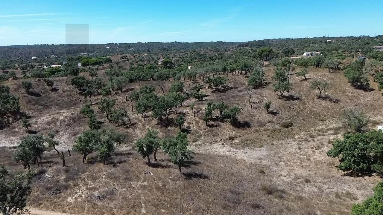 Terreno para Venda em São Francisco da Serra Foto 22