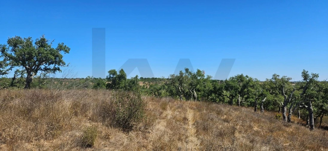 Terreno para Venda em São Francisco da Serra Foto 11