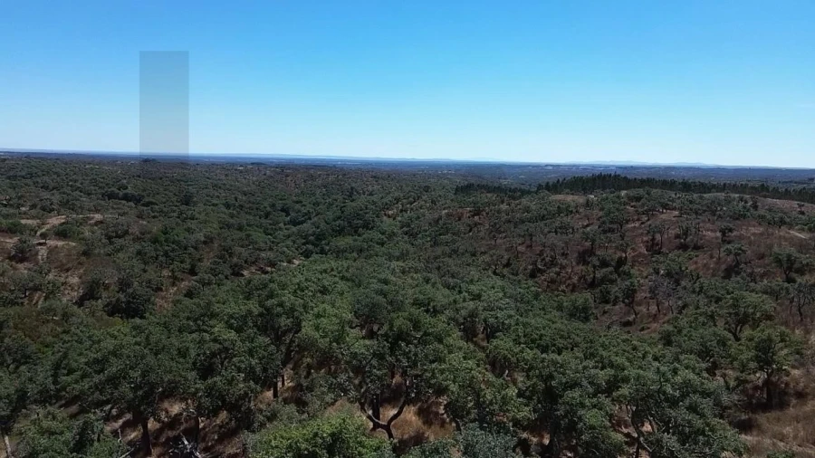 Terreno para Venda em São Francisco da Serra Foto 14