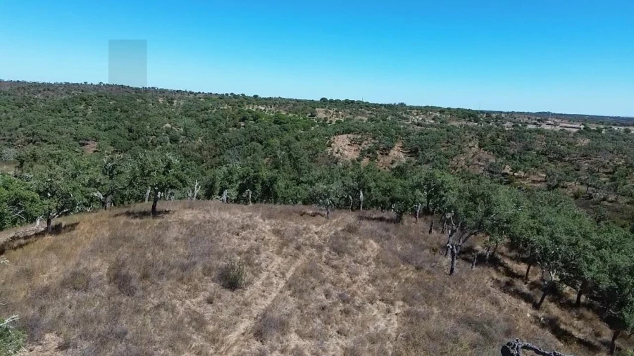 Terreno para Venda em São Francisco da Serra Foto 15