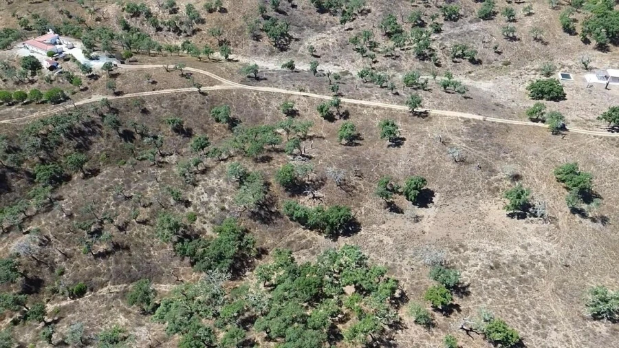 Terreno para Venda em São Francisco da Serra Foto 17