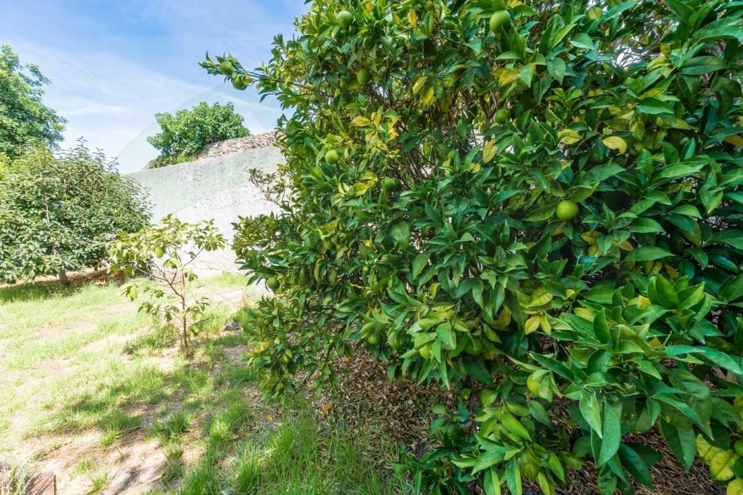 Moradia T3 para Venda em Sobral de Monte Agraço Foto 69