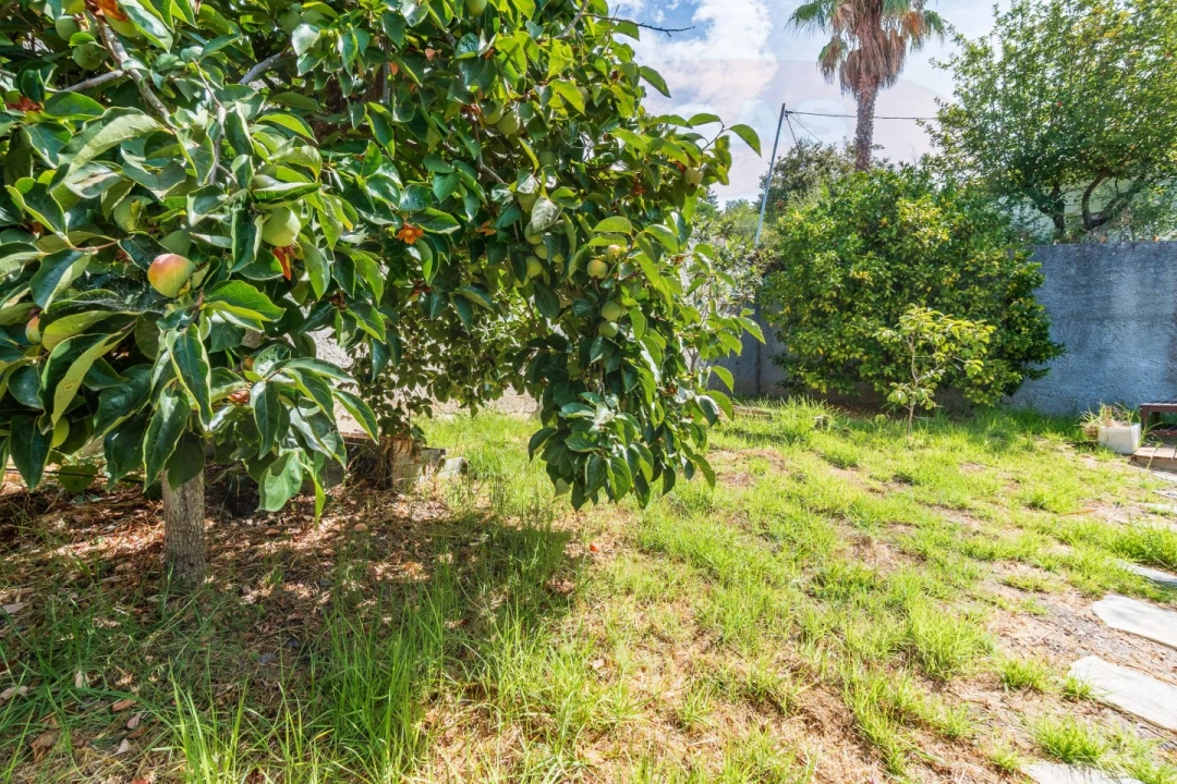 Moradia T3 para Venda em Sobral de Monte Agraço Foto 71