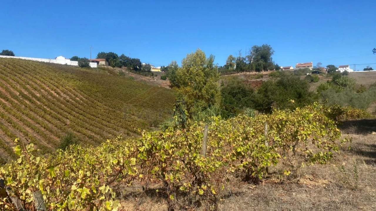 Terreno para Venda em Alvorninha Foto 15