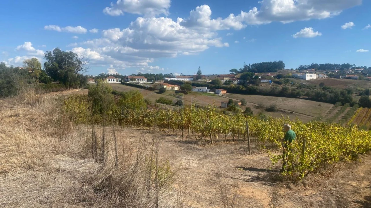 Terreno para Venda em Alvorninha Foto 19