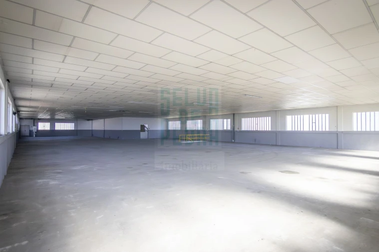 Loja para Venda em Coronado (São Romão e São Mamede) Foto 3