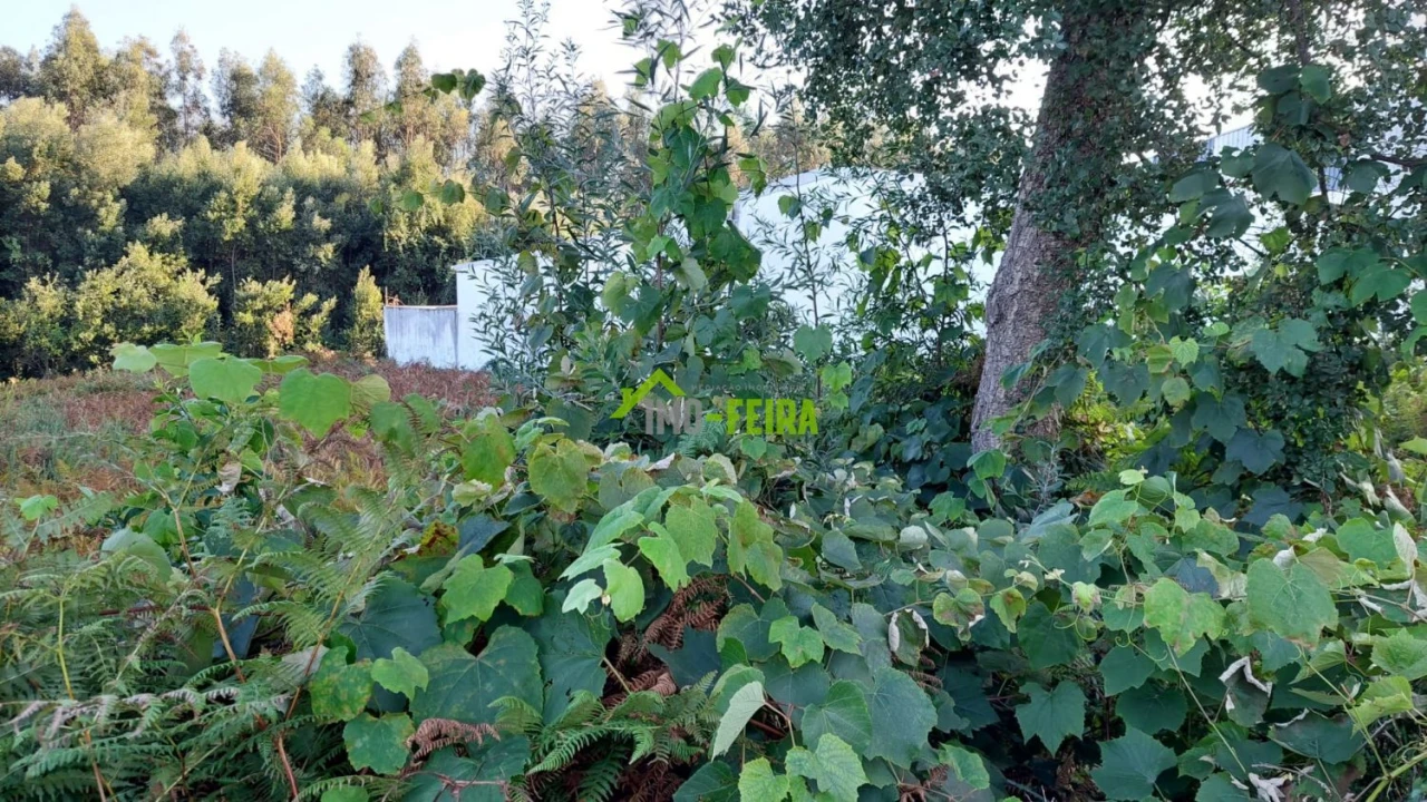 Terreno para Venda em Santa Maria da Feira, Travanca, Sanfins e Espargo Foto 7