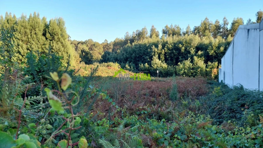 Terreno para Venda em Santa Maria da Feira, Travanca, Sanfins e Espargo Foto 6