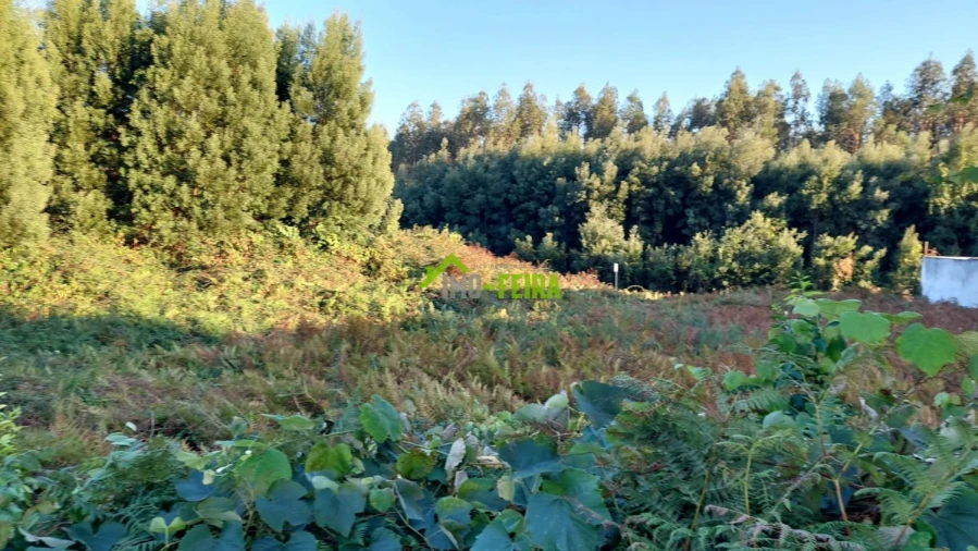 Terreno para Venda em Santa Maria da Feira, Travanca, Sanfins e Espargo Foto 13