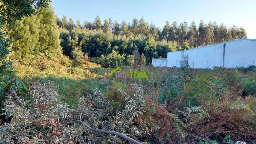 Terreno para Venda em Santa Maria da Feira, Travanca, Sanfins e Espargo Foto 14
