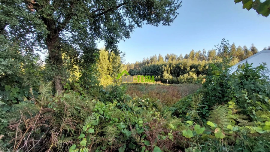 Terreno para Venda em Santa Maria da Feira, Travanca, Sanfins e Espargo Foto 11