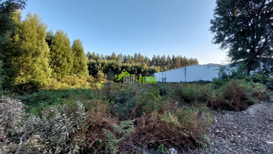 Terreno para Venda em Santa Maria da Feira, Travanca, Sanfins e Espargo Foto 10