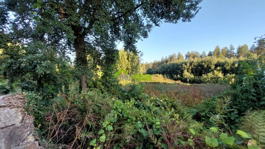 Terreno para Venda em Santa Maria da Feira, Travanca, Sanfins e Espargo Foto 4