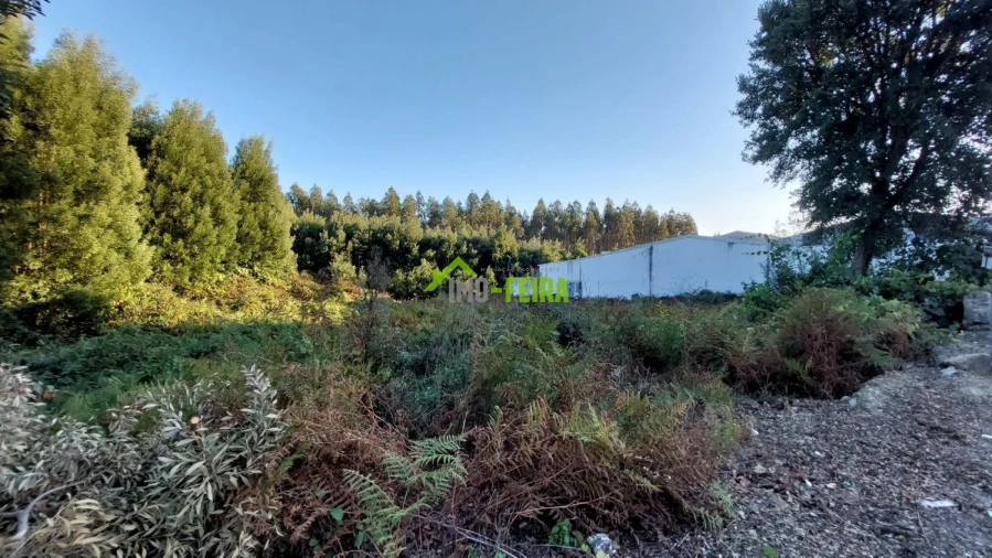 Terreno para Venda em Santa Maria da Feira, Travanca, Sanfins e Espargo Foto 2