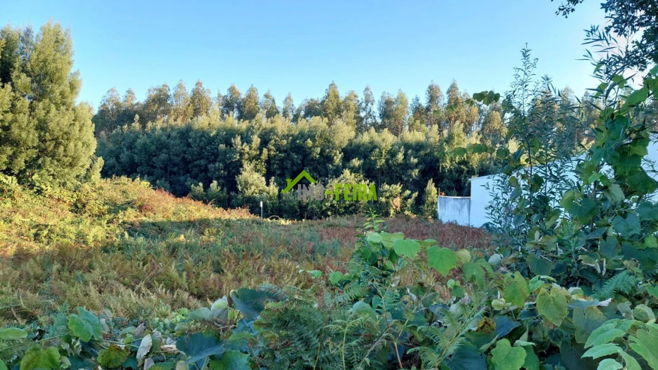 Terreno para Venda em Santa Maria da Feira, Travanca, Sanfins e Espargo Foto 8