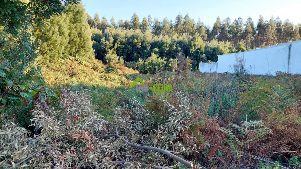 Terreno para Venda em Santa Maria da Feira, Travanca, Sanfins e Espargo Foto 9