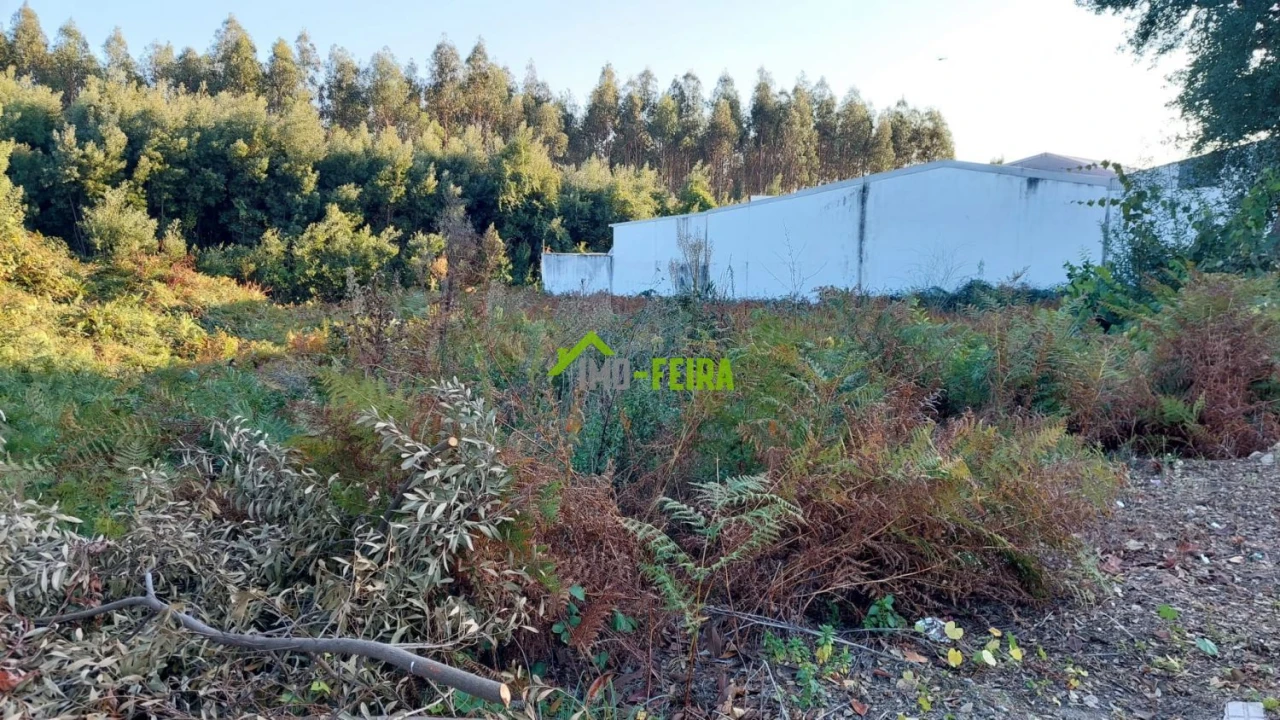 Terreno para Venda em Santa Maria da Feira, Travanca, Sanfins e Espargo Foto 15