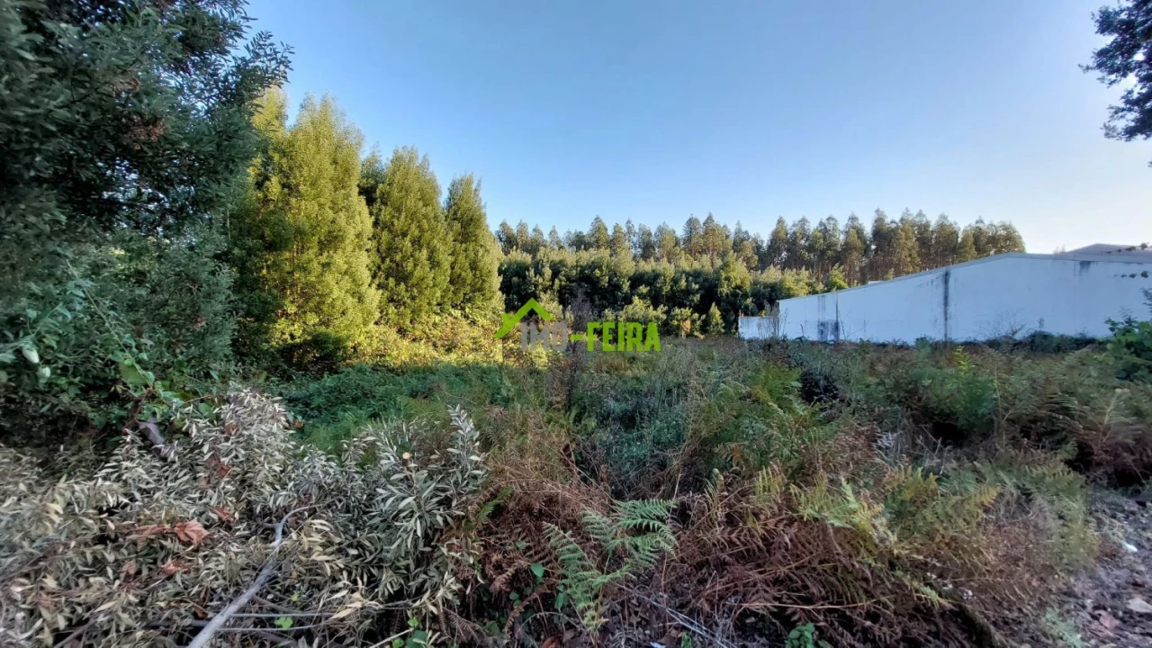 Terreno para Venda em Santa Maria da Feira, Travanca, Sanfins e Espargo Foto 1