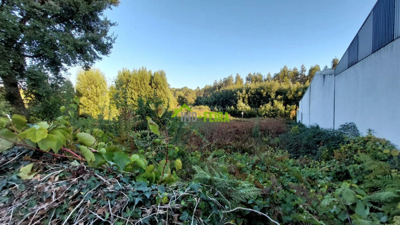Terreno para Venda em Santa Maria da Feira, Travanca, Sanfins e Espargo Foto 5