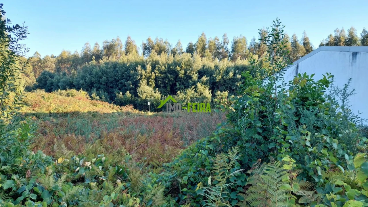 Terreno para Venda em Santa Maria da Feira, Travanca, Sanfins e Espargo Foto 12