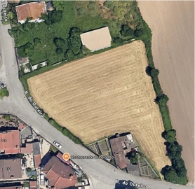 Terreno para Venda em Folgosa