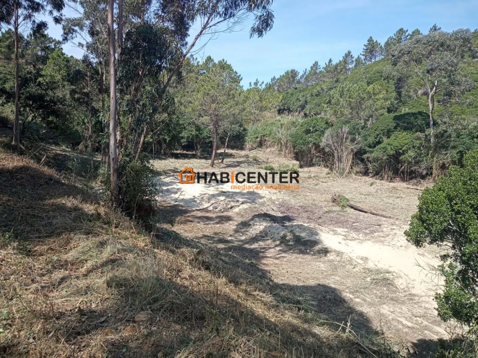 Terreno para Venda em Famalicão Foto 19