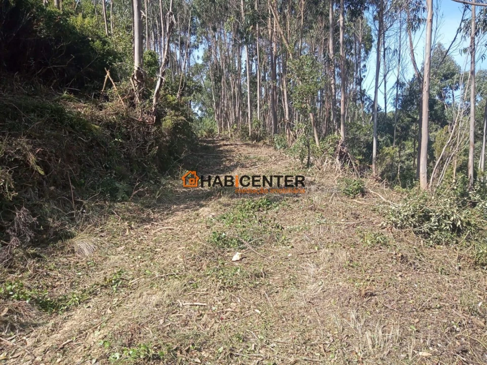 Terreno para Venda em Famalicão Foto 9