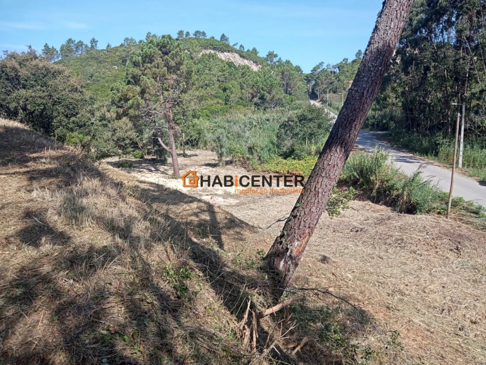 Terreno para Venda em Famalicão Foto 16