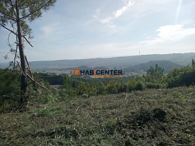 Terreno para Venda em Famalicão Foto 20