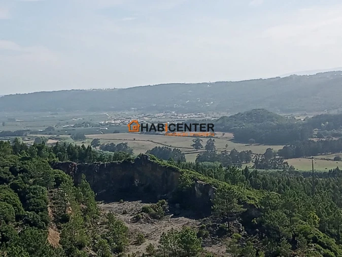 Terreno para Venda em Famalicão Foto 5