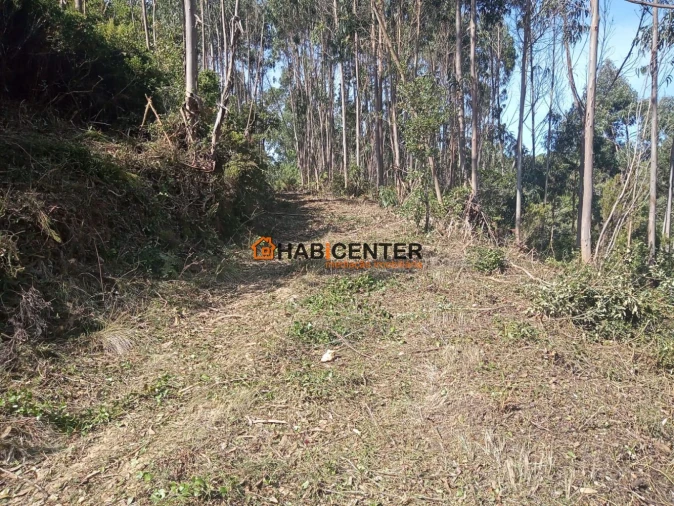 Terreno para Venda em Famalicão Foto 9
